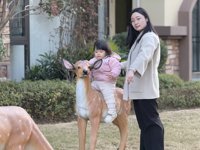 <h4>'IMG_E1707.JPG' 2000 x 1500 | iPhone 16 Pro | 2025-01-28 17:18:14</h4>