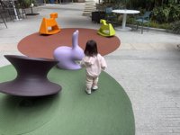 <h4>'IMG_1847.JPG' 1999 x 1500 | iPhone 16 Pro | 2025-02-15 11:57:34</h4>