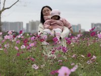 <h4>'IMG_E1915.JPG' 2000 x 1500 | iPhone 16 Pro | 2025-02-23 11:30:52</h4>