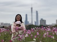 <h4>'IMG_E1919.JPG' 2000 x 1500 | iPhone 16 Pro | 2025-02-23 11:31:11</h4>