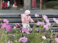 <h4>'IMG_E1931.JPG' 2000 x 1500 | iPhone 16 Pro | 2025-02-23 11:33:49</h4>