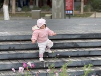 <h4>'IMG_E1934.JPG' 2000 x 1500 | iPhone 16 Pro | 2025-02-23 11:34:17</h4>