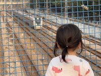 <h4>'IMG_2004.jpg' 2000 x 1500 | iPhone 16 Pro | 2025-03-23 17:38:39</h4>