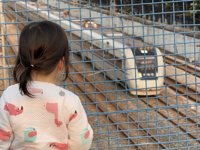 <h4>'IMG_2005.jpg' 2000 x 1500 | iPhone 16 Pro | 2025-03-23 17:38:41</h4>