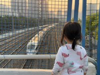 <h4>'IMG_2008.jpg' 2000 x 1500 | iPhone 16 Pro | 2025-03-23 17:42:21</h4>