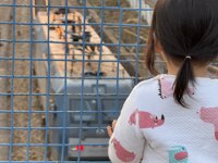 <h4>'IMG_2009.jpg' 2000 x 1500 | iPhone 16 Pro | 2025-03-23 17:52:17</h4>