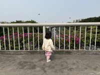 <h4>'IMG_2173.jpg' 1999 x 1500 | iPhone 16 Pro | 2025-04-06 10:54:29</h4>