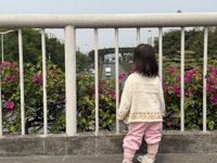 <h4>'IMG_2177.jpg' 2000 x 1500 | iPhone 16 Pro | 2025-04-06 10:54:59</h4>