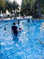 <h4>'IMG_20250502_180219.jpg' 1500 x 2000 | HUAWEI P60 | 2025-05-02 18:02:19</h4>