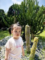 <h4>'IMG_20250503_105311.jpg' 1500 x 2000 | HUAWEI P60 | 2025-05-03 10:53:11</h4>