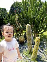 <h4>'IMG_20250503_105313.jpg' 1500 x 2000 | HUAWEI P60 | 2025-05-03 10:53:13</h4>