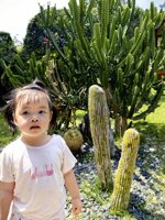 <h4>'IMG_20250503_105315.jpg' 1500 x 2000 | HUAWEI P60 | 2025-05-03 10:53:15</h4>