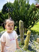 <h4>'IMG_20250503_105318.jpg' 1500 x 2000 | HUAWEI P60 | 2025-05-03 10:53:18</h4>