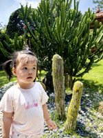 <h4>'IMG_20250503_105319_1.jpg' 1500 x 2000 | HUAWEI P60 | 2025-05-03 10:53:19</h4>