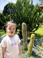 <h4>'IMG_20250503_105319.jpg' 1500 x 2000 | HUAWEI P60 | 2025-05-03 10:53:19</h4>