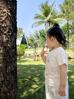 <h4>'IMG_20250503_110111.jpg' 1500 x 2000 | HUAWEI P60 | 2025-05-03 11:01:11</h4>