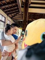 <h4>'IMG_20250503_110748.jpg' 1500 x 2000 | HUAWEI P60 | 2025-05-03 11:07:48</h4>