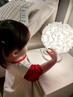 <h4>'IMG_20250504_105818.jpg' 1500 x 2000 | HUAWEI P60 | 2025-05-04 10:58:18</h4>