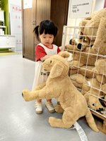 <h4>'IMG_20250504_105958.jpg' 1500 x 2000 | HUAWEI P60 | 2025-05-04 10:59:58</h4>