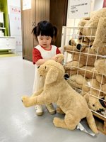 <h4>'IMG_20250504_110000.jpg' 1500 x 2000 | HUAWEI P60 | 2025-05-04 11:00:00</h4>