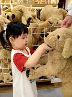 <h4>'IMG_20250504_110248.jpg' 1500 x 2000 | HUAWEI P60 | 2025-05-04 11:02:48</h4>