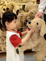 <h4>'IMG_20250504_110251.jpg' 1500 x 2000 | HUAWEI P60 | 2025-05-04 11:02:51</h4>