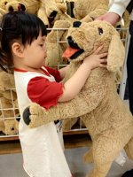 <h4>'IMG_20250504_110253.jpg' 1500 x 2000 | HUAWEI P60 | 2025-05-04 11:02:53</h4>