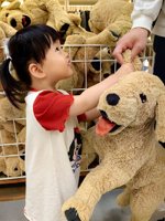 <h4>'IMG_20250504_110257.jpg' 1500 x 2000 | HUAWEI P60 | 2025-05-04 11:02:57</h4>