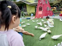 <h4>'IMG_20250525_125950.jpg' 2000 x 1500 | HUAWEI P60 | 2025-05-25 12:59:50</h4>