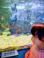 <h4>'IMG_20250531_114127.jpg' 1500 x 2000 | HUAWEI P60 | 2025-05-31 11:41:27</h4>