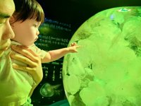 <h4>'IMG_20250531_114353.jpg' 2000 x 1500 | HUAWEI P60 | 2025-05-31 11:43:53</h4>