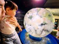 <h4>'IMG_20250531_114358.jpg' 2000 x 1500 | HUAWEI P60 | 2025-05-31 11:43:58</h4>