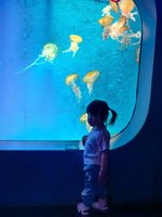 <h4>'IMG_20250531_114659.jpg' 1500 x 2000 | HUAWEI P60 | 2025-05-31 11:46:59</h4>