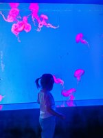 <h4>'IMG_20250531_114719.jpg' 1500 x 2000 | HUAWEI P60 | 2025-05-31 11:47:19</h4>