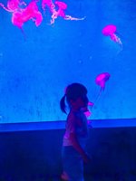 <h4>'IMG_20250531_114721.jpg' 1500 x 2000 | HUAWEI P60 | 2025-05-31 11:47:21</h4>