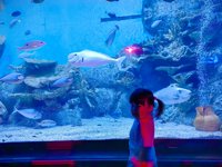 <h4>'IMG_20250531_114759.jpg' 2000 x 1500 | HUAWEI P60 | 2025-05-31 11:47:59</h4>