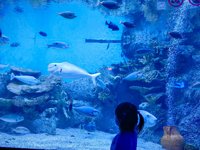 <h4>'IMG_20250531_114801.jpg' 2000 x 1500 | HUAWEI P60 | 2025-05-31 11:48:01</h4>