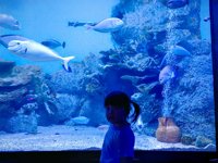 <h4>'IMG_20250531_114805.jpg' 2000 x 1500 | HUAWEI P60 | 2025-05-31 11:48:05</h4>