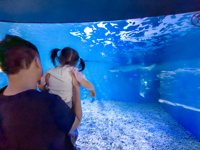 <h4>'IMG_20250531_114855.jpg' 2000 x 1500 | HUAWEI P60 | 2025-05-31 11:48:55</h4>