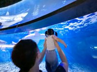 <h4>'IMG_20250531_114909.jpg' 2000 x 1500 | HUAWEI P60 | 2025-05-31 11:49:09</h4>