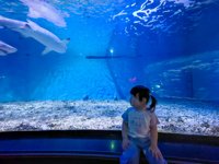 <h4>'IMG_20250531_114932.jpg' 2000 x 1500 | HUAWEI P60 | 2025-05-31 11:49:32</h4>