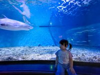 <h4>'IMG_20250531_114934.jpg' 2000 x 1500 | HUAWEI P60 | 2025-05-31 11:49:34</h4>