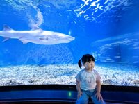 <h4>'IMG_20250531_114935.jpg' 2000 x 1500 | HUAWEI P60 | 2025-05-31 11:49:35</h4>