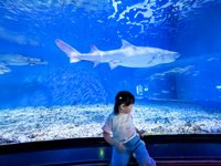 <h4>'IMG_20250531_114938.jpg' 2000 x 1500 | HUAWEI P60 | 2025-05-31 11:49:38</h4>