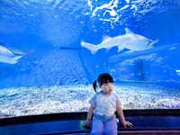 <h4>'IMG_20250531_114939.jpg' 2000 x 1500 | HUAWEI P60 | 2025-05-31 11:49:39</h4>