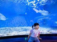 <h4>'IMG_20250531_114940.jpg' 2000 x 1500 | HUAWEI P60 | 2025-05-31 11:49:40</h4>