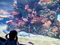 <h4>'IMG_20250531_115047.jpg' 2000 x 1500 | HUAWEI P60 | 2025-05-31 11:50:47</h4>