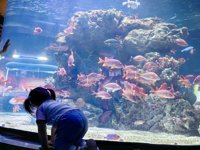 <h4>'IMG_20250531_115051.jpg' 2000 x 1500 | HUAWEI P60 | 2025-05-31 11:50:51</h4>