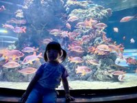 <h4>'IMG_20250531_115058.jpg' 2000 x 1500 | HUAWEI P60 | 2025-05-31 11:50:58</h4>