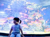 <h4>'IMG_20250531_115101.jpg' 2000 x 1500 | HUAWEI P60 | 2025-05-31 11:51:01</h4>